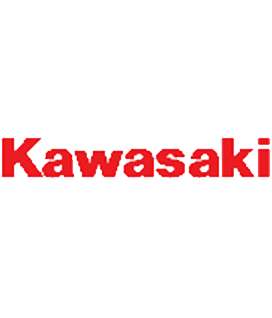 Kawasaki Leaf Blower Parts