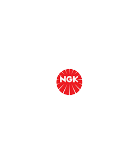 NGK Spark Plugs